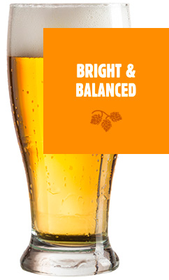 bright and balanced beer