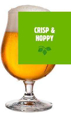 crisp and hoppy beer
