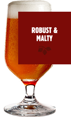 robust and malty beer